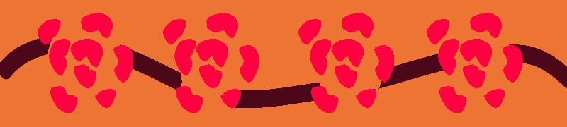 top banner